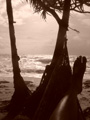 gal/04 - Kep/_thb_RIMG2000.jpg